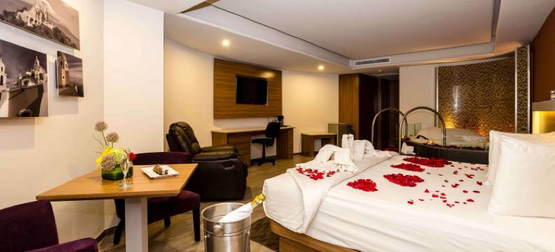 JF 格兰特普耶布拉酒店(JF Grand Puebla)图片