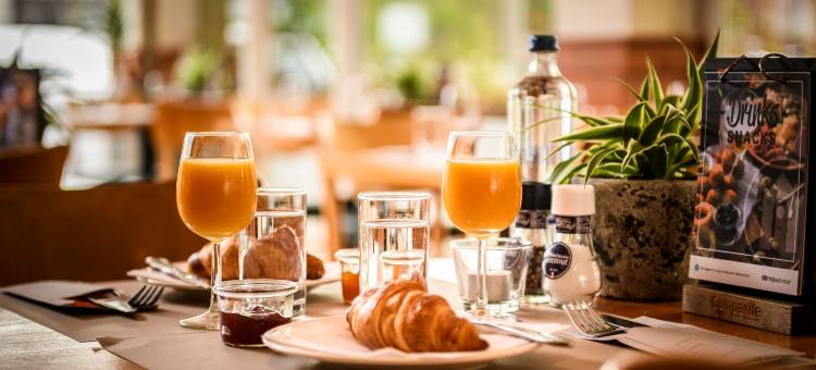 布雷达康铂酒店(Campanile Breda)图片