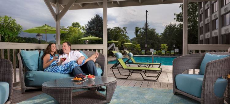 Holiday Inn 阿什维尔，比尔特莫尔东(Holiday Inn Asheville East-Blue Ridge Pkwy)图片