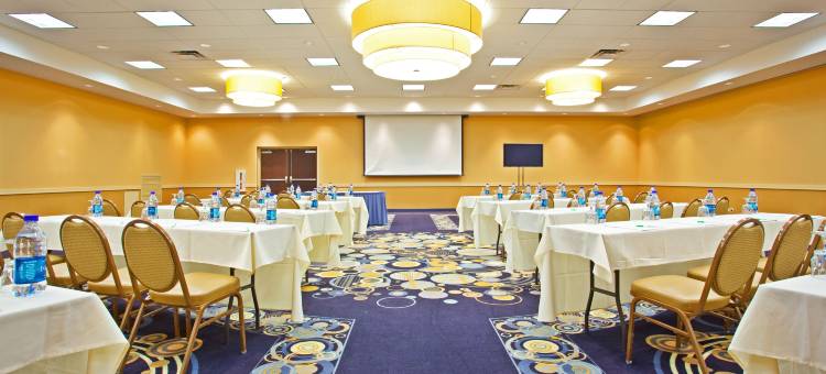 Holiday Inn 芝加哥ELK GROVE(Holiday Inn Chicago-Elk Grove)图片