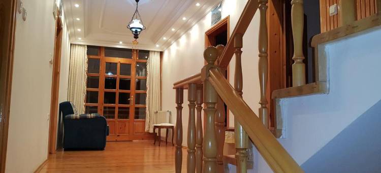 Orhan Boran Villa图片