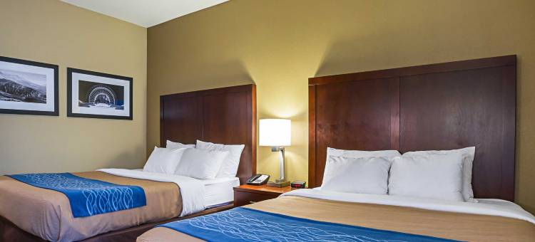 舒适酒店及套房-锡塔克机场(Comfort Inn & Suites Sea-Tac Airport)图片