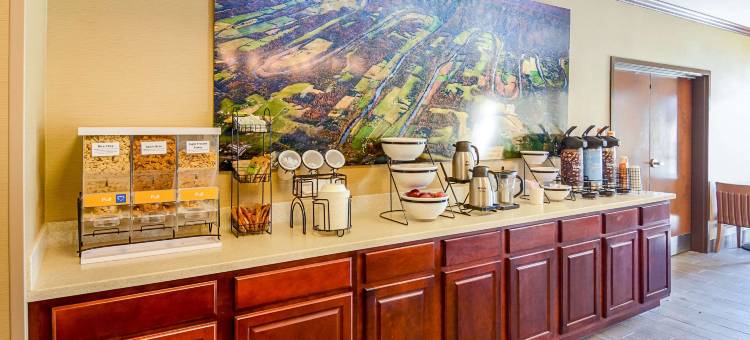 伍德斯托克仙纳度舒适酒店(Comfort Inn Woodstock Shenandoah)图片