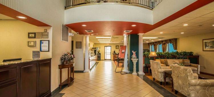 摩根顿舒适套房酒店(Comfort Inn & Suites)图片