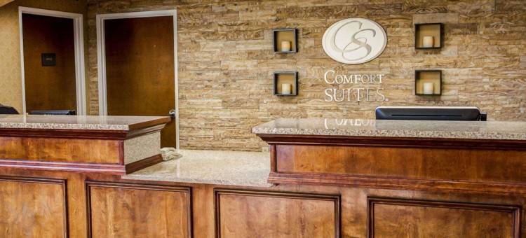 乔治敦舒适套房酒店(Comfort Suites Georgetown)图片