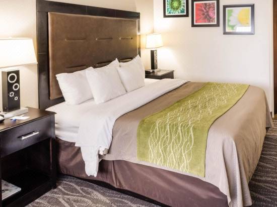 Comfort Inn Downtown Charleston Hotel Reviews And Room Rates