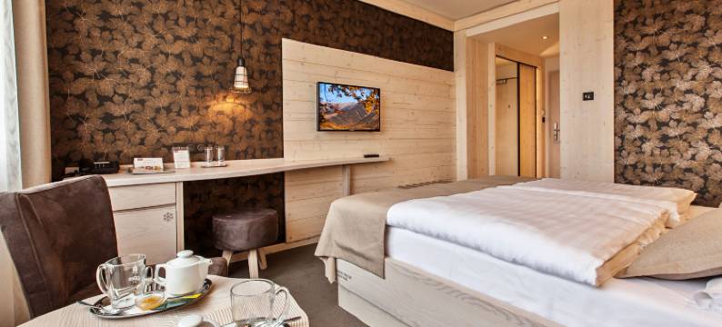 帕提赞酒店(Hotel Partizán)图片