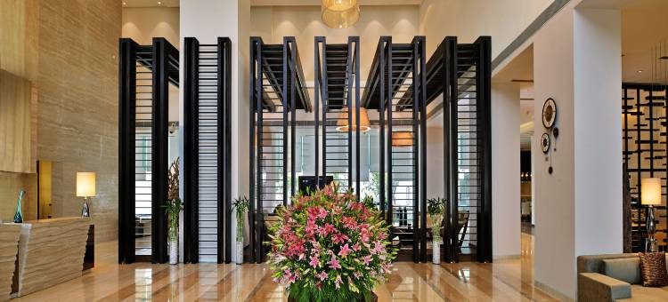 古尔冈巴尼广场希尔顿逸林酒店(DoubleTree by Hilton Gurugram Baani Square)图片