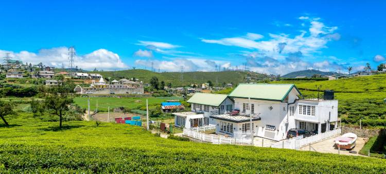 茶园别墅(Villa Tea Fields)图片