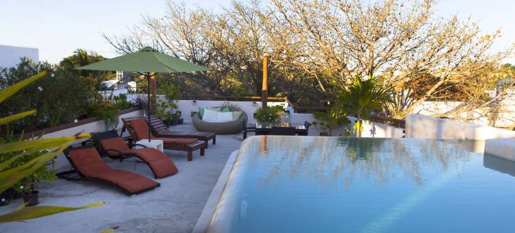 第五朵雏菊- 波西欧别致酒店(Quinta Margarita - Boho Chic Hotel)图片