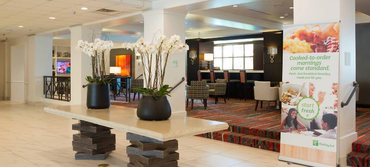 Holiday Inn 休斯顿南环路(Holiday Inn HOUSTON S - NRG AREA - MED CTR by IHG)图片