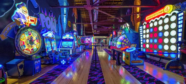 Holiday Inn & Suites 大路会议中心(Holiday Inn & Suites ST. Catharines Conf Ctr)图片