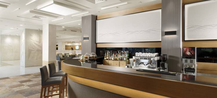 雅典机场假日酒店(Holiday Inn Athens - Airport)图片