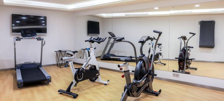 普埃尔塔真实欧洲之星酒店(Eurostars Puerta Real)图片