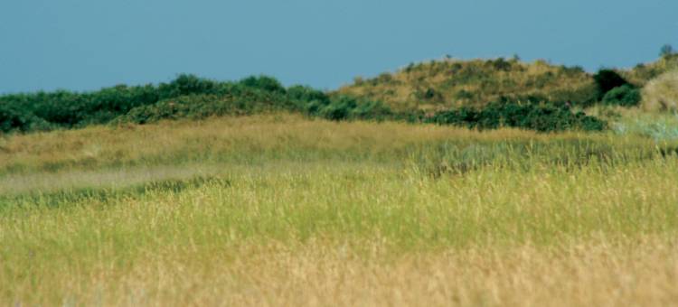 弗莱彻酒店(Fletcher Hotel la Ville Blanche)图片