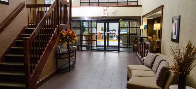 莱辛顿套房旅店(Lexington Inn and Suites)图片