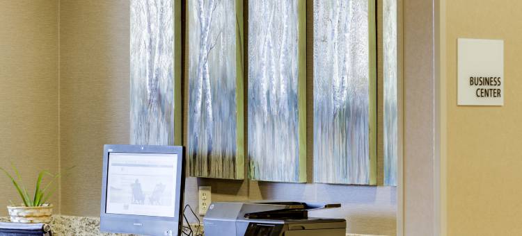 内华达智选假日套房酒店(Holiday Inn Express & Suites Nevada)图片