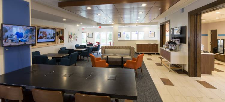 智选假日套房酒店罗切斯特山(Holiday Inn Express & Suites Rochester Hills - Detroit Area)图片