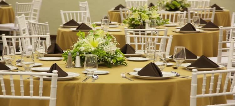 奥里扎巴假日酒店(Holiday Inn Orizaba)图片