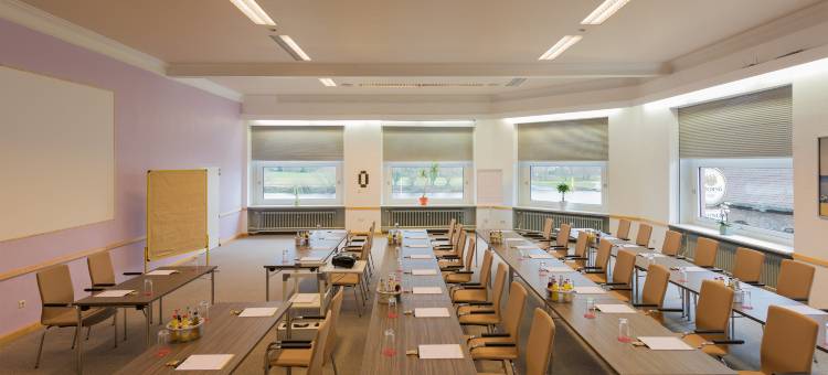 霍切斯特会议酒店(Tagungshotel Höchster Hof)图片