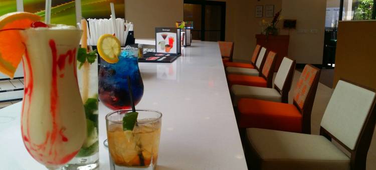 迈阿密西机场区假日酒店(Holiday Inn Miami West - Airport Area)图片