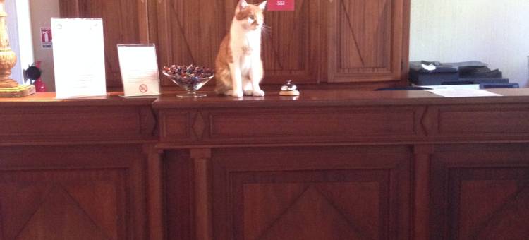 Best Western Hotel de la Bourse图片