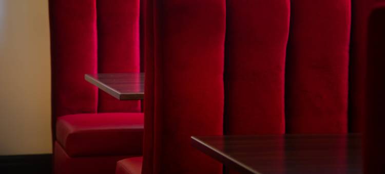 堪萨斯市中心英迪格酒店(Hotel Indigo Kansas City Downtown)图片