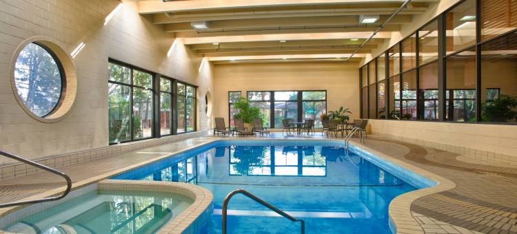 多伦多机场福朋喜来登酒店(Four Points by Sheraton Toronto Airport)图片