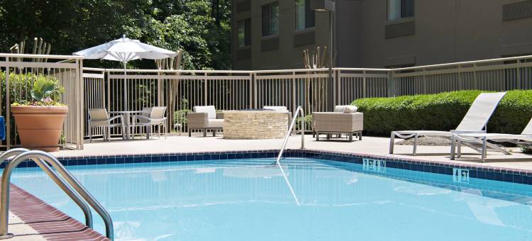 亚特兰大阿尔普哈雷塔万豪SpringHill酒店(SpringHill Suites Atlanta Alpharetta)图片