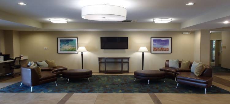 Candlewood Suites 哈灵根(Candlewood Suites Harlingen)图片