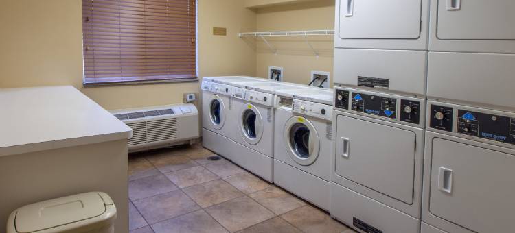 Candlewood Suites 水牛城阿默斯特(Candlewood Suites Buffalo Amherst)图片