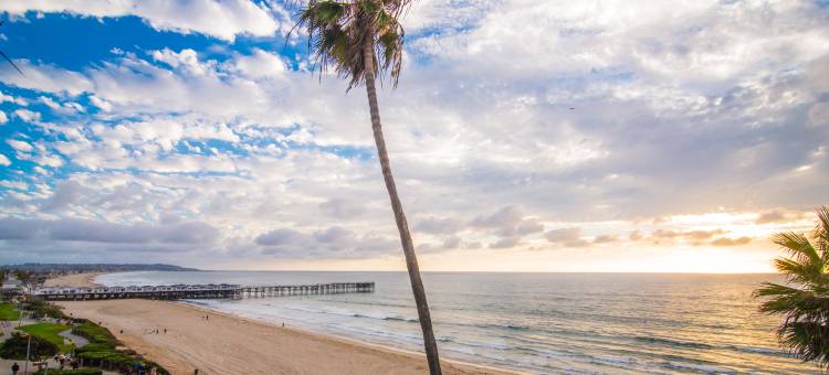 太平洋露台酒店(Pacific Terrace Hotel)图片