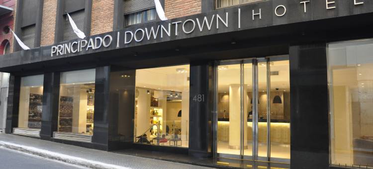 普林齐帕多市区酒店(Principado Downtown)图片