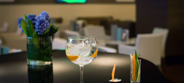 萨纳大都市酒店(SANA Metropolitan Hotel)图片