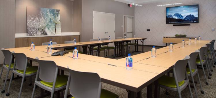 奥斯汀希德帕克SpringHill Suites酒店(SpringHill Suites Austin Cedar Park)图片