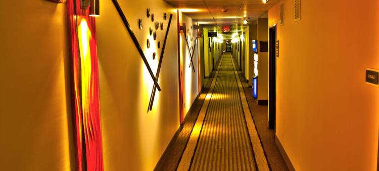 白松酒店套房(White Pines Inn & Suites)图片