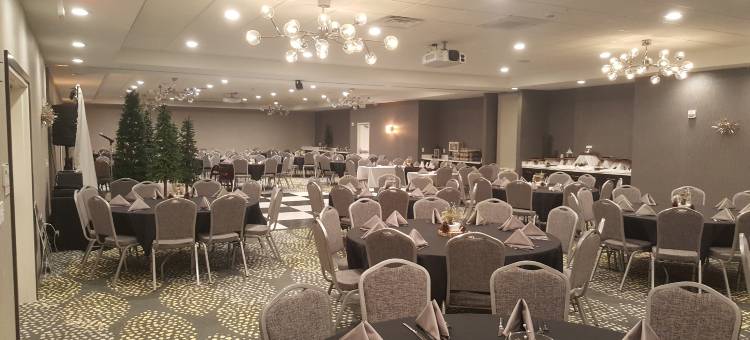 洲际酒店集团假日套房酒店 迪凯特-福赛斯(Holiday Inn & Suites Decatur-Forsyth)图片