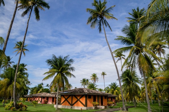 Patachocas Over view