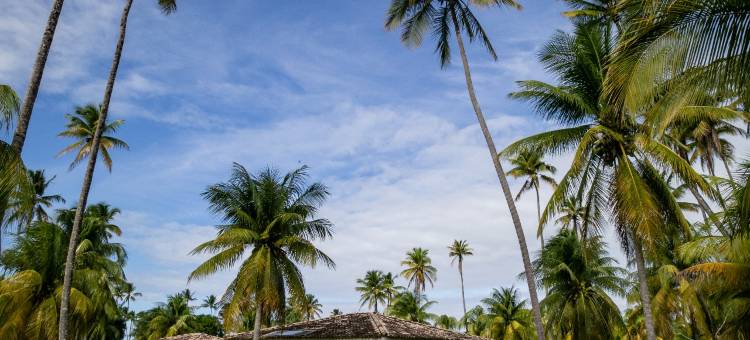 帕塔厝卡斯酒店(Patachocas)图片