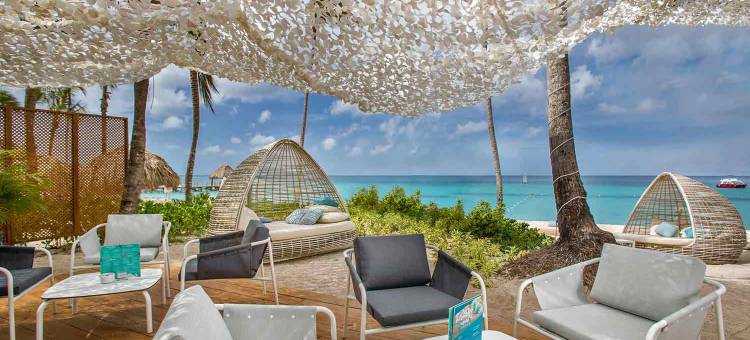 加泰罗尼亚皇家拉罗马纳酒店-限成人-全包(Catalonia Royal la Romana Adults Only - All Inclusive)图片