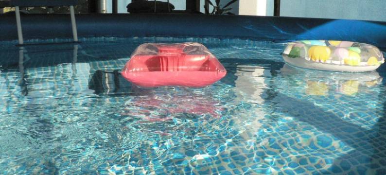 斯雷巴那鹈鹕湖招待所(Pelican Lake Guesthouse Srebarna)图片