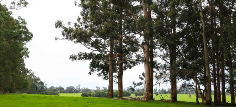 特內布洛克別墅(Treenbrook Cottages)图片