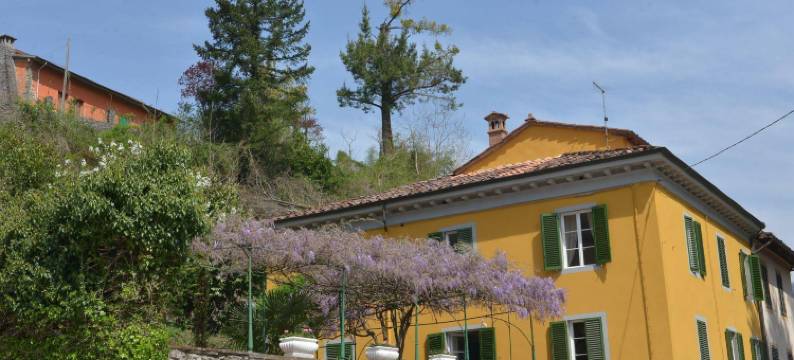 卢凯西别墅旅馆(Villa Lucchesi)图片