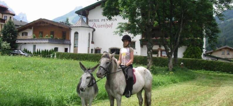 法米莉安奥恩霍夫维塔酒店(Familien- & Vitalhotel Auenhof)图片