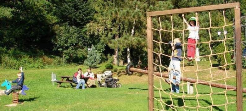 格努讷霍夫酒店(Grüner Hof)图片