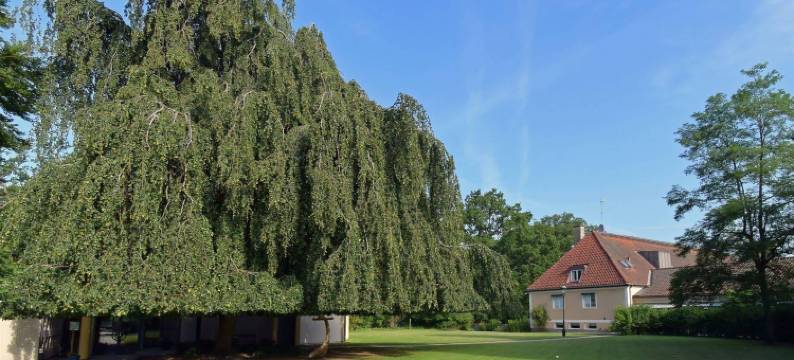 阿克尔伯格斯提夫花园酒店(Stiftsgården Åkersberg)图片