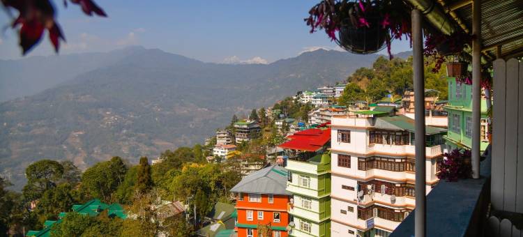 荨麻和蕨类植物酒店(The Nettle and Fern Hotel Gangtok)图片