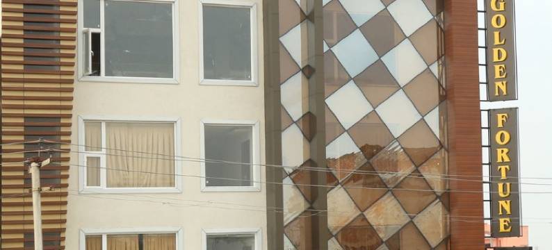 金色财富酒店(Hotel Golden Fortune)图片