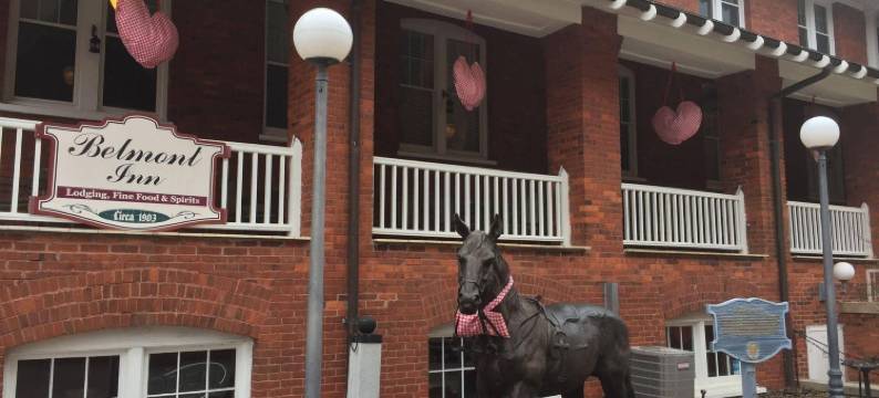 贝尔蒙特旅馆(The Belmont Inn by OYO)图片