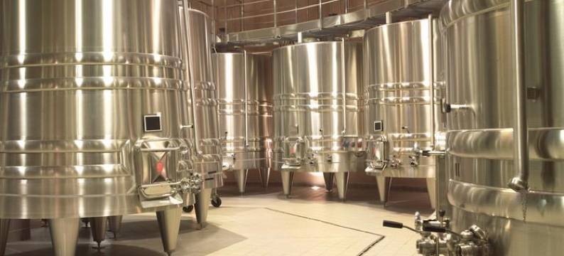 吕萨克城堡民宿(Chambre d'hôtes Château de Lussac)图片